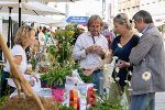 Der „Markt der Artenvielfalt“ findet am 26. Juni 2024 (bei Regen am nächsten Tag) in Graz statt. © Naturparke Steiermark/Oliver Wolf; Verwendung bei Quellenangabe honorarfrei