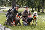 Insgesamt zehn Hunde wurden in der Steiermark zu ASP-Spürhunden ausgebildet