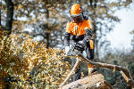 Das Land Steiermark fördert die Anschaffung von Schutzausrüstung für Waldbesitzer.